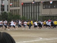 IMG_1954